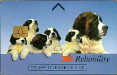 3M Reliability (Hond met jongen)