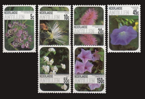 1985 Inheemse Flora