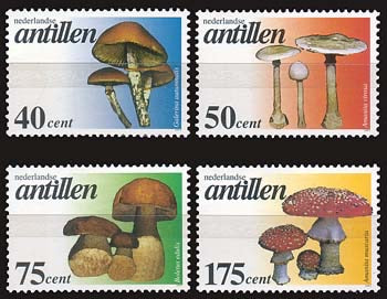 1997 Paddestoelen