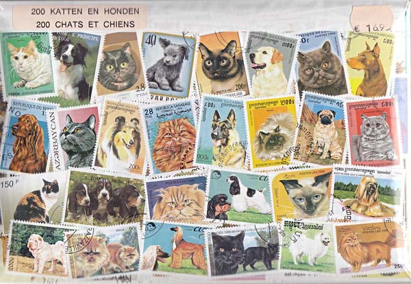 200 verschillende Honden & Katten