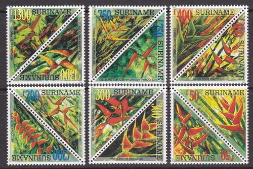 1999 Surinaamse bloemen