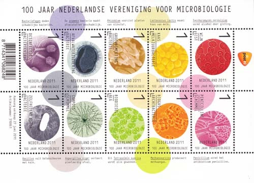 2011 Ned.Vereniging voor Microbiologie