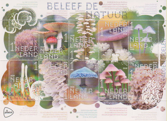 2018 Beleef de Natuur, Paddestoelen