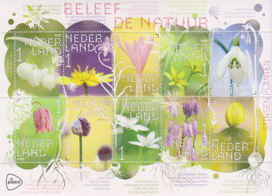 2019 Beleef de Natuur, planten