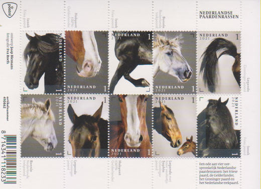 2021 Nederlandse paardenrassen