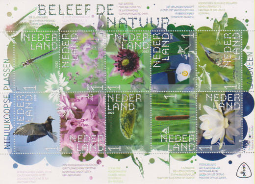 2022 Beleef de natuur, Nieuwkoopse plassen