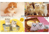 Cats, 4 different Japan used