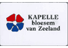 Kapelle bloesem van Zeeland