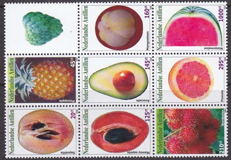 2009 Fruit - Klik op de afbeelding om het venster te sluiten