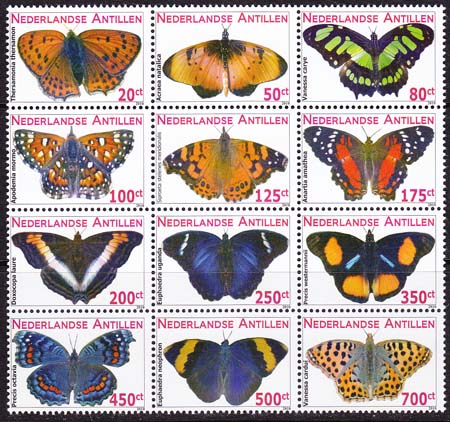 2010 Butterflies - Click Image to Close