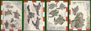 2003 Schildpadden - Click Image to Close