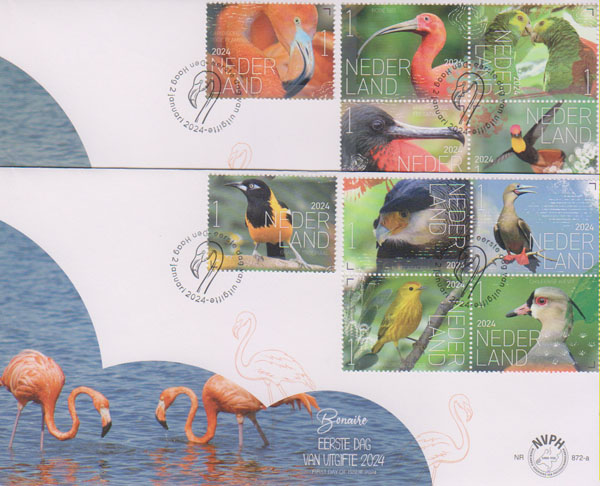 2024 Beleef de natuur, vogels Bonaire - Klik op de afbeelding om het venster te sluiten