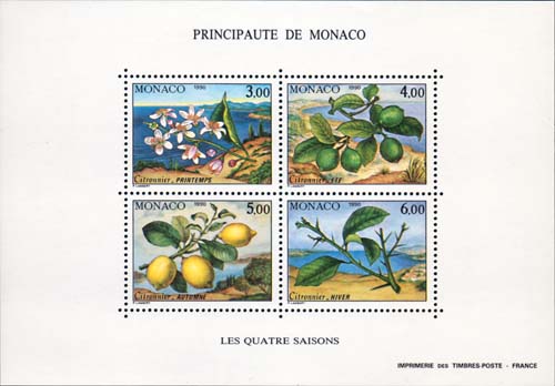 Monaco 1990 seasons mint - Click Image to Close