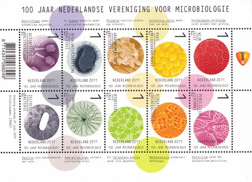 2011 Ned.Vereniging voor Microbiologie - Click Image to Close