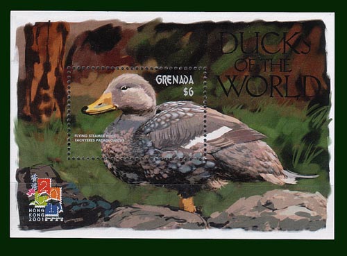 Grenada ducks MS $.6.00 - Click Image to Close