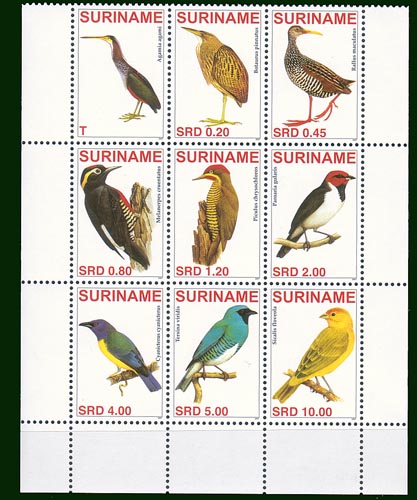 Suriname velletje 2007 - Click Image to Close