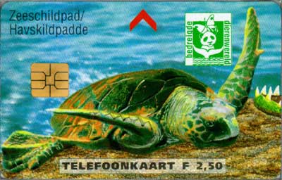 Bedreigde Dierenwereld Zeeschildpad - Click Image to Close
