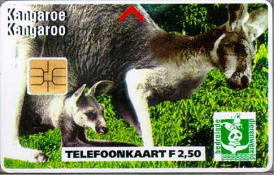 Bedreigde Dierenwereld Kangoroe - Click Image to Close