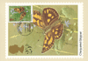 Engeland 1981, 4 kaarten vlinders